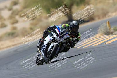 media/May-14-2023-SoCal Trackdays (Sun) [[024eb53b40]]/Turn 5 Tree of Life (1125am)/